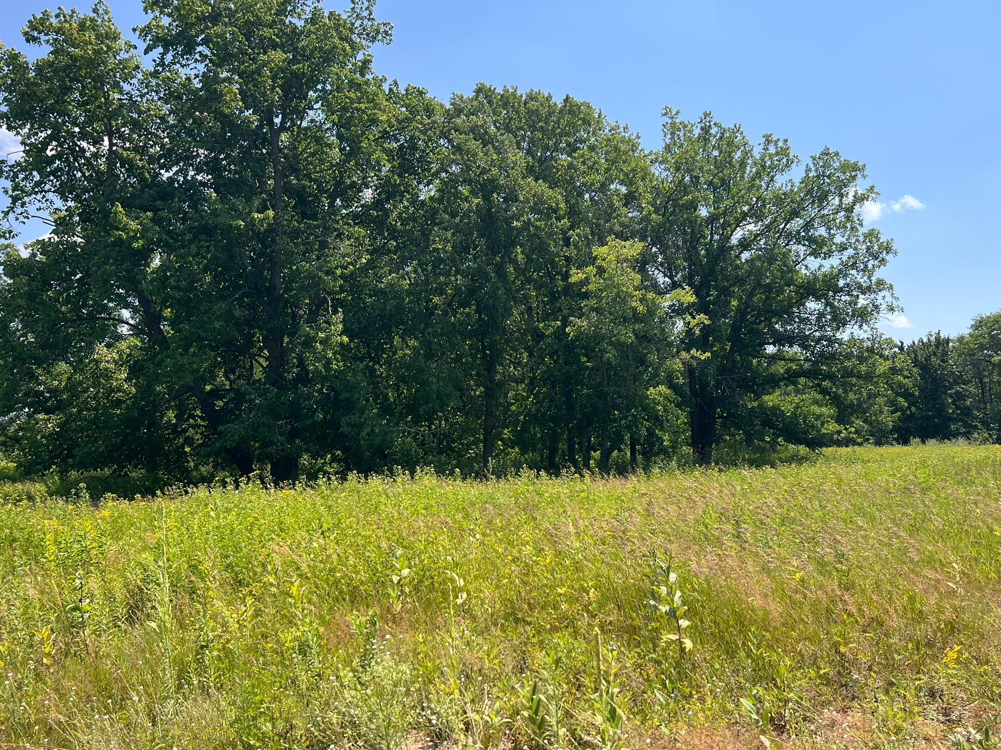 36200 County Road 39, Laporte MN 56461 - Photo 5 of 14