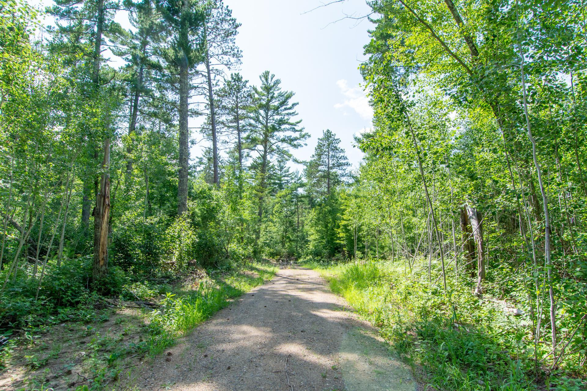 5778 S Bass Lake Road NE, Remer MN 56662 - Photo 40 of 46