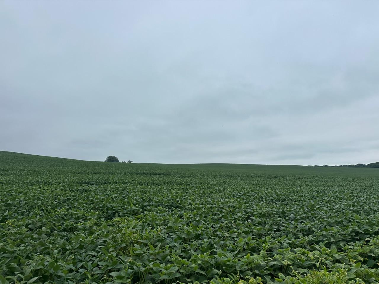 land for sale at 22921 County 10 in Long Prairie, MN (photo 11 of 18)