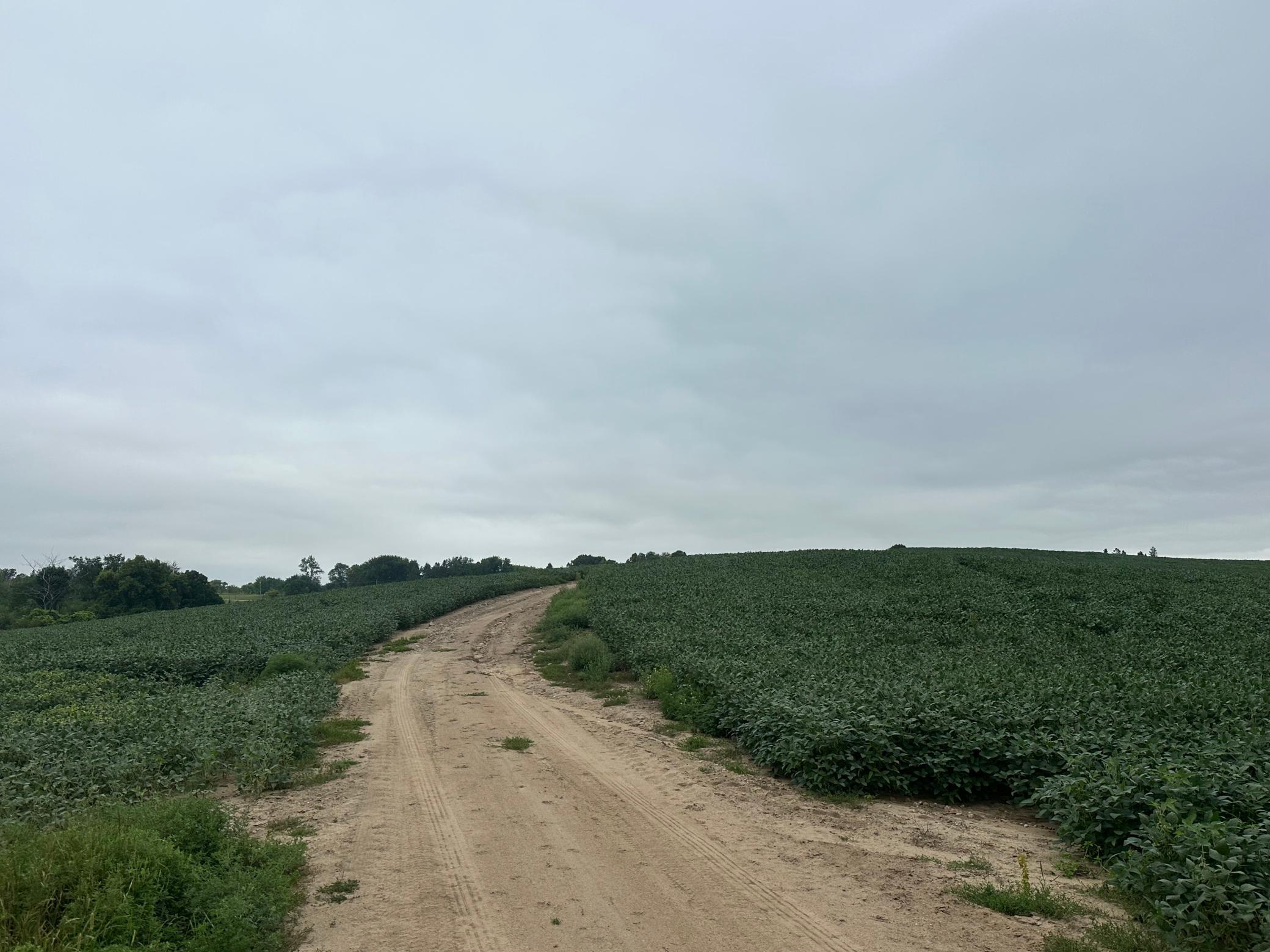 land for sale at 22921 County 10 in Long Prairie, MN (photo 12 of 18)