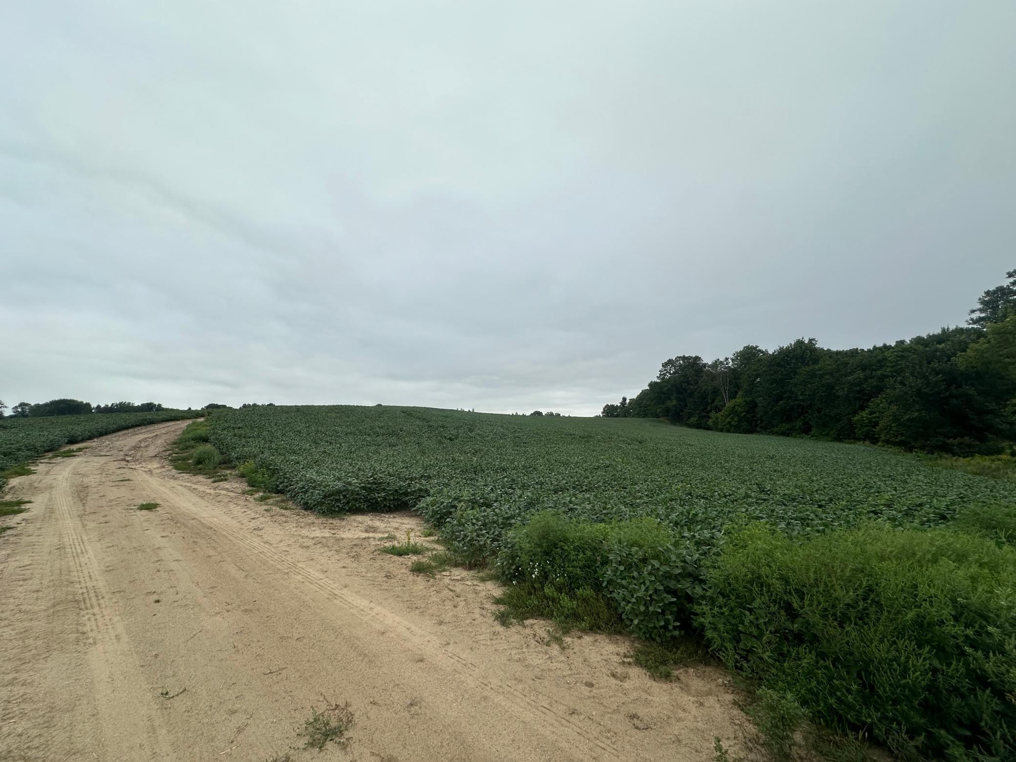 land for sale at 22921 County 10 in Long Prairie, MN (photo 13 of 18)