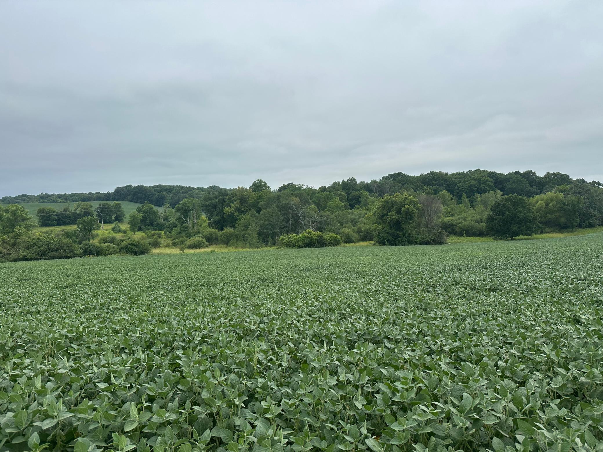 land for sale at 22921 County 10 in Long Prairie, MN (photo 14 of 18)