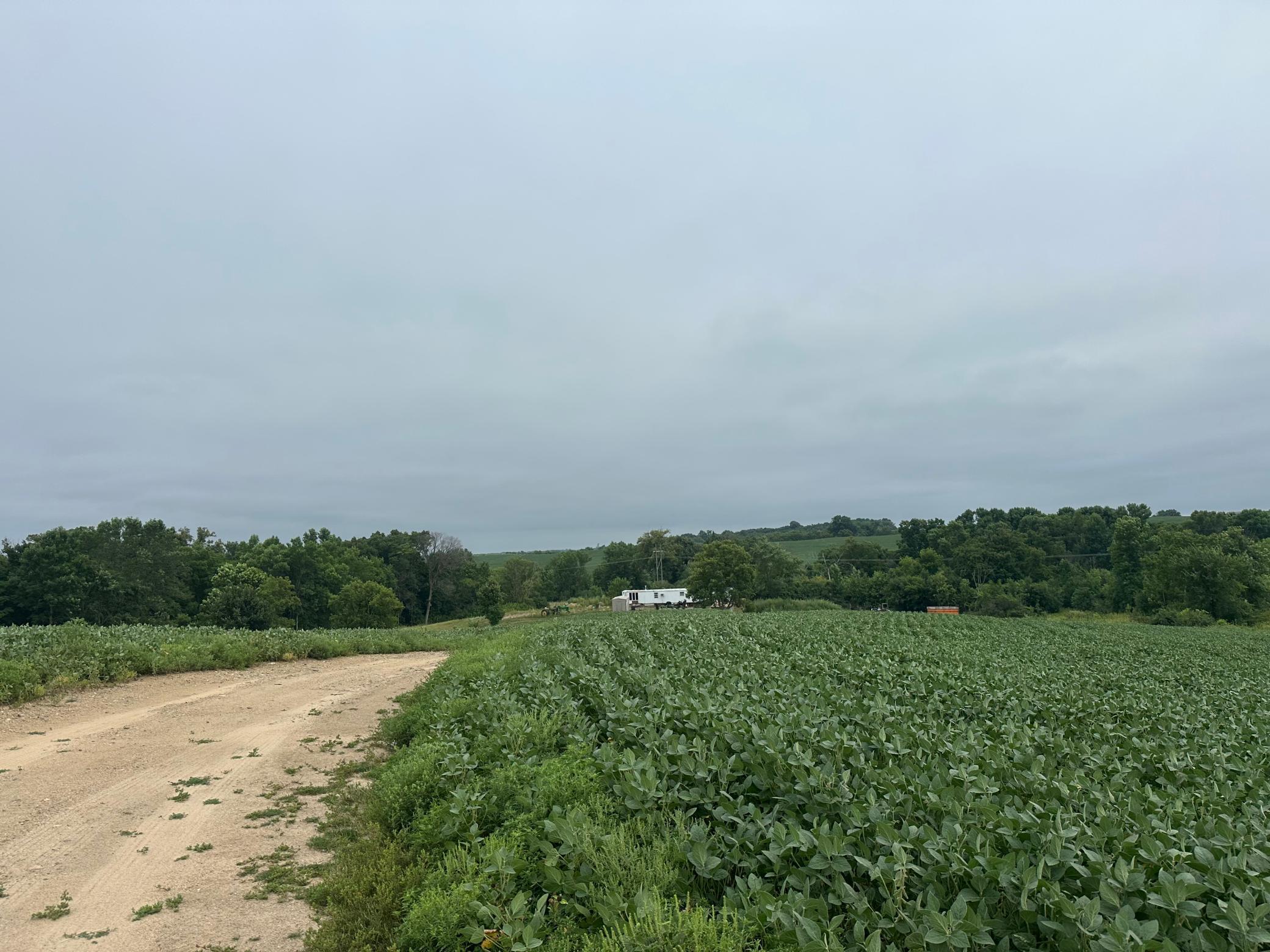 land for sale at 22921 County 10 in Long Prairie, MN (photo 15 of 18)