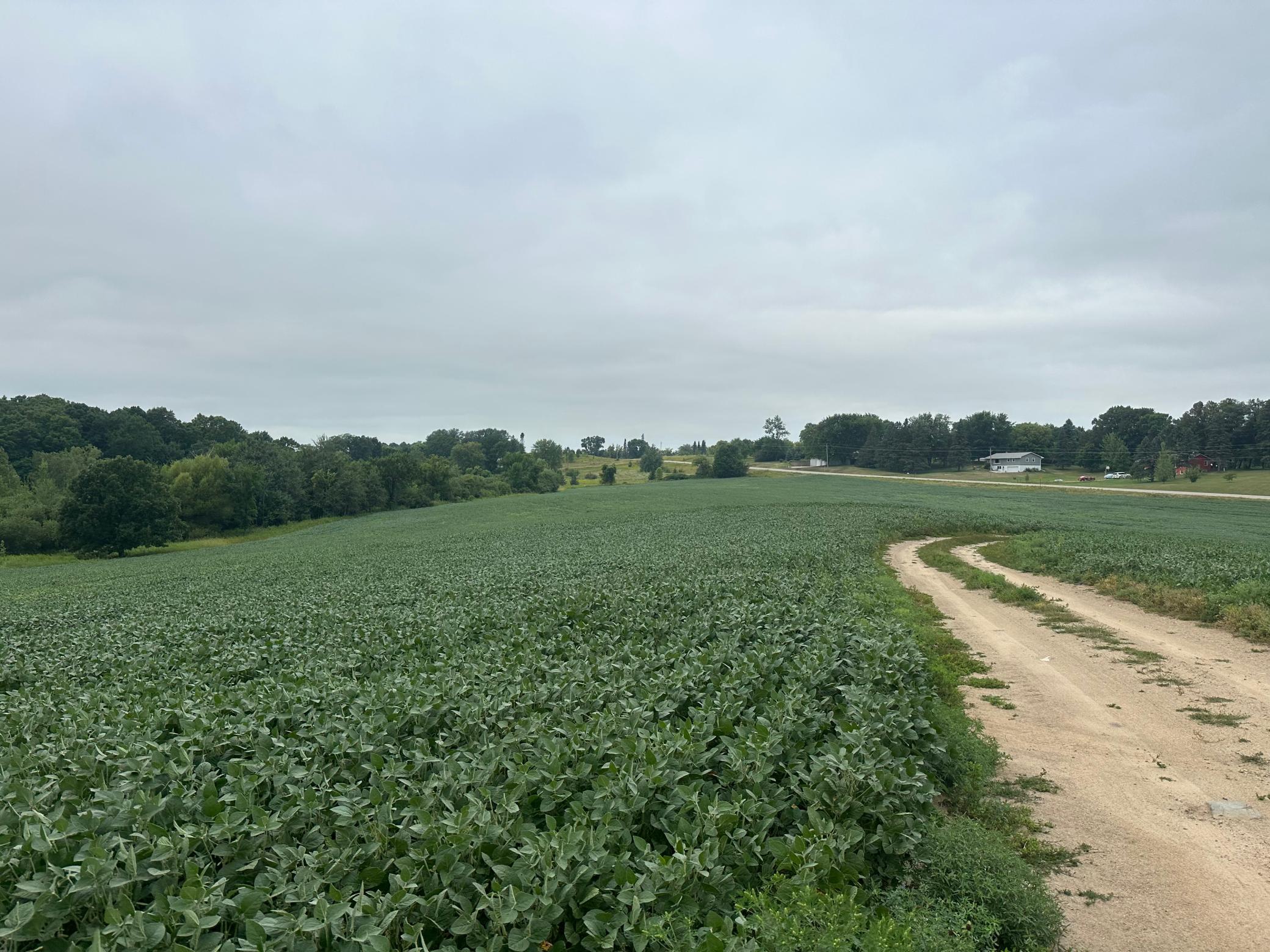 land for sale at 22921 County 10 in Long Prairie, MN (photo 16 of 18)