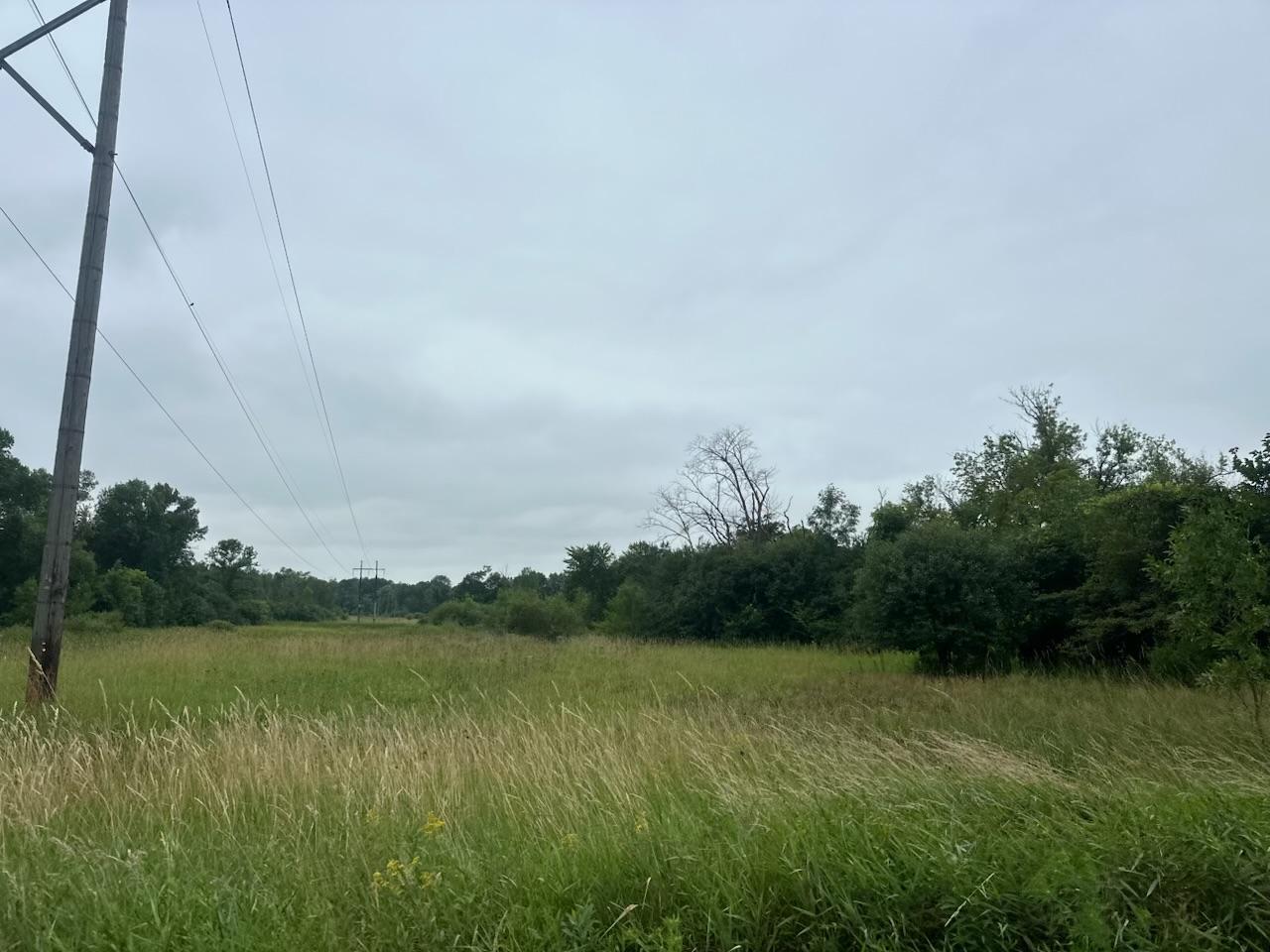 land for sale at 22921 County 10 in Long Prairie, MN (photo 18 of 18)