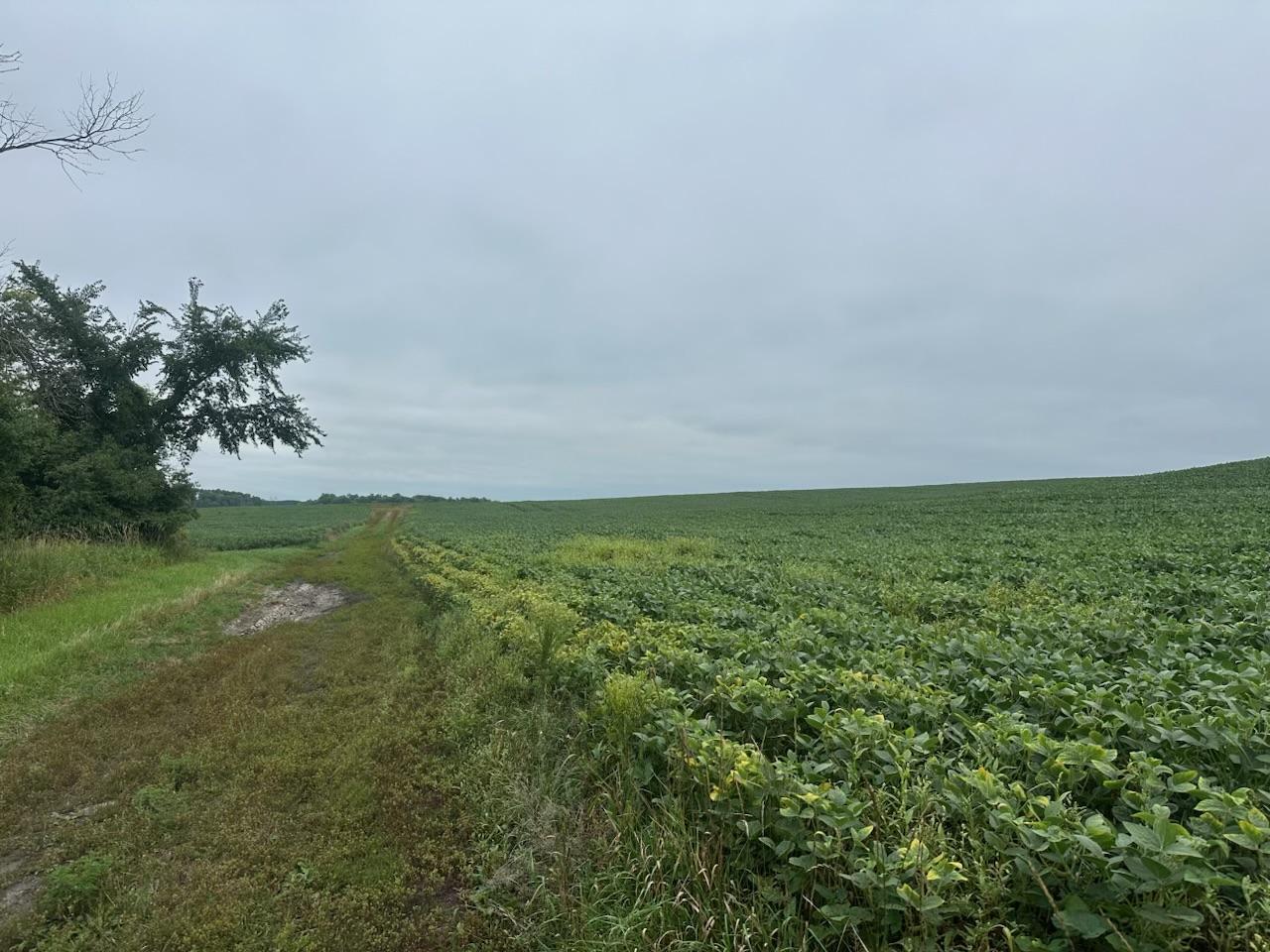 land for sale at 22921 County 10 in Long Prairie, MN (photo 9 of 18)