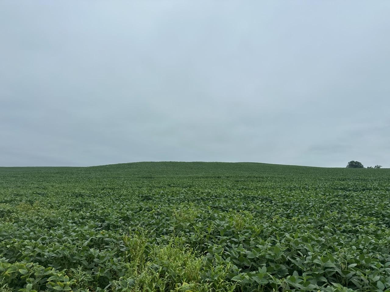 land for sale at 22921 County 10 in Long Prairie, MN (photo 10 of 18)