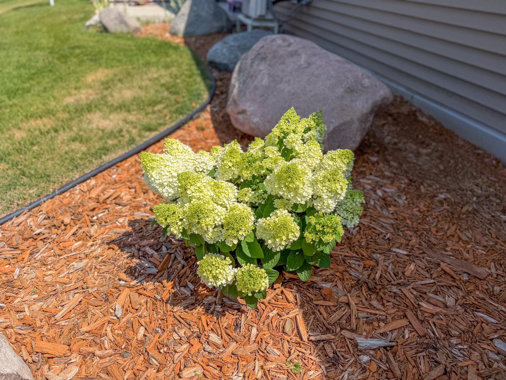 2016 townhouse for sale at 1615 30th Street NW, Unit 29 in Bemidji, MN — 2 bed, 2 bath (photo 32 of 39)