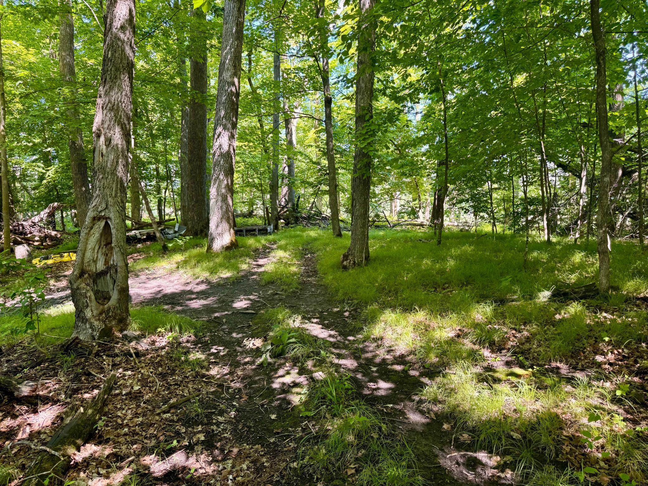 land for sale at 45753 Crystal Beach Rd in Pelican Rapids, MN (photo 11 of 36)