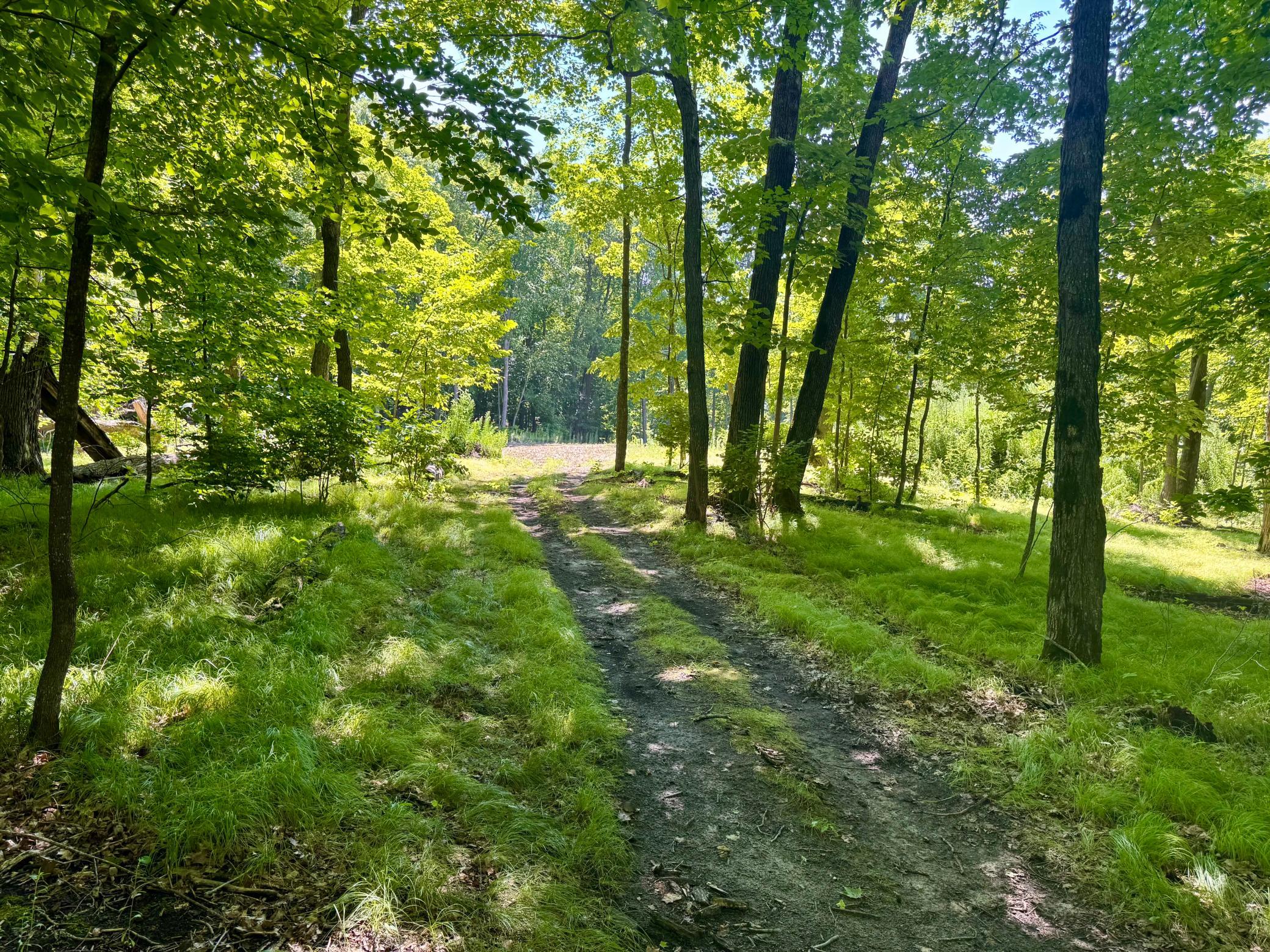 land for sale at 45753 Crystal Beach Rd in Pelican Rapids, MN (photo 12 of 36)