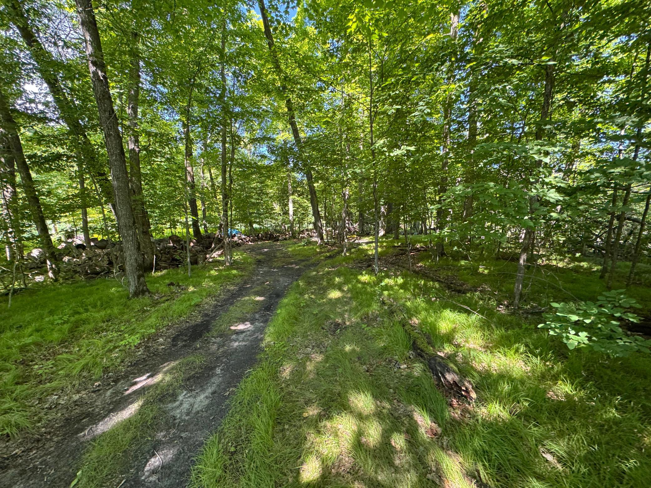 land for sale at 45753 Crystal Beach Rd in Pelican Rapids, MN (photo 13 of 36)