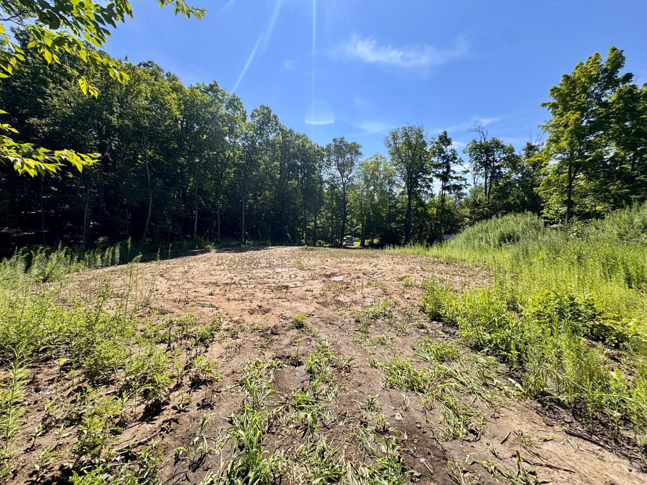 land for sale at 45753 Crystal Beach Rd in Pelican Rapids, MN (photo 8 of 36)