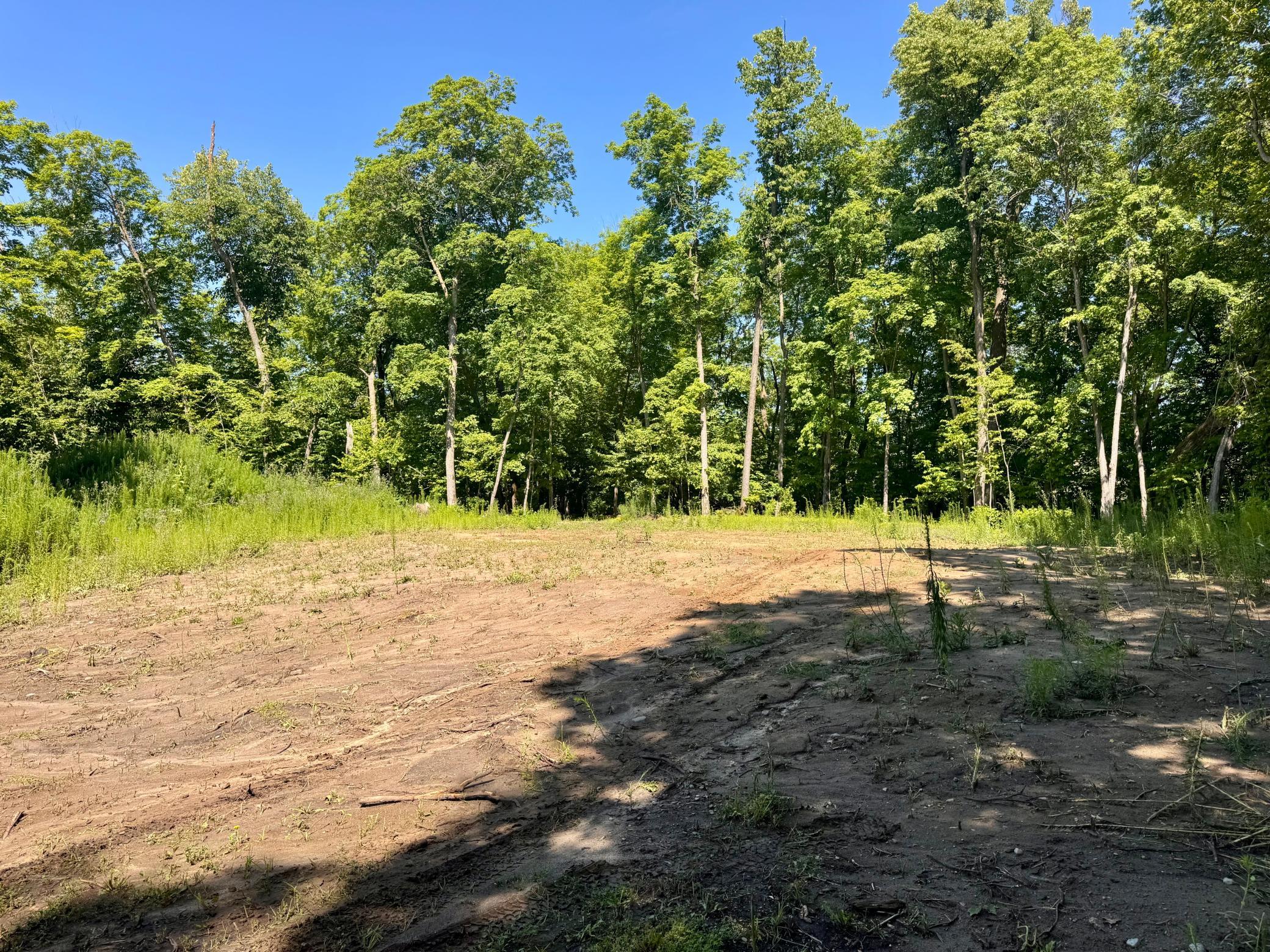 land for sale at 45753 Crystal Beach Rd in Pelican Rapids, MN (photo 9 of 36)