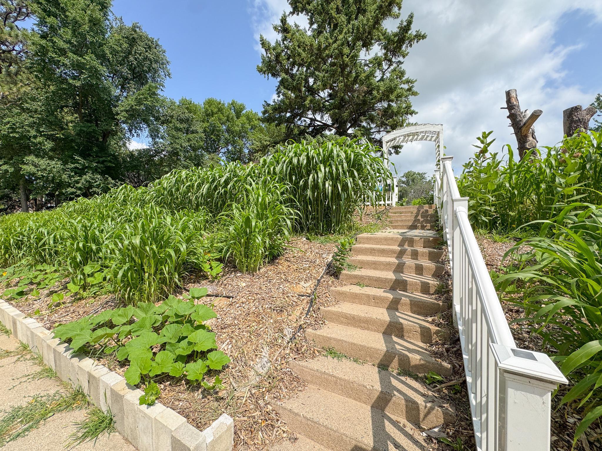 522 W Spruce Street, Fergus Falls MN 56537 - Photo 45 of 52