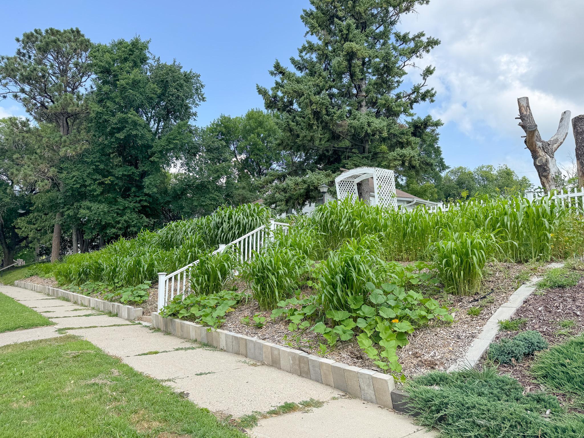 522 W Spruce Street, Fergus Falls MN 56537 - Photo 47 of 52
