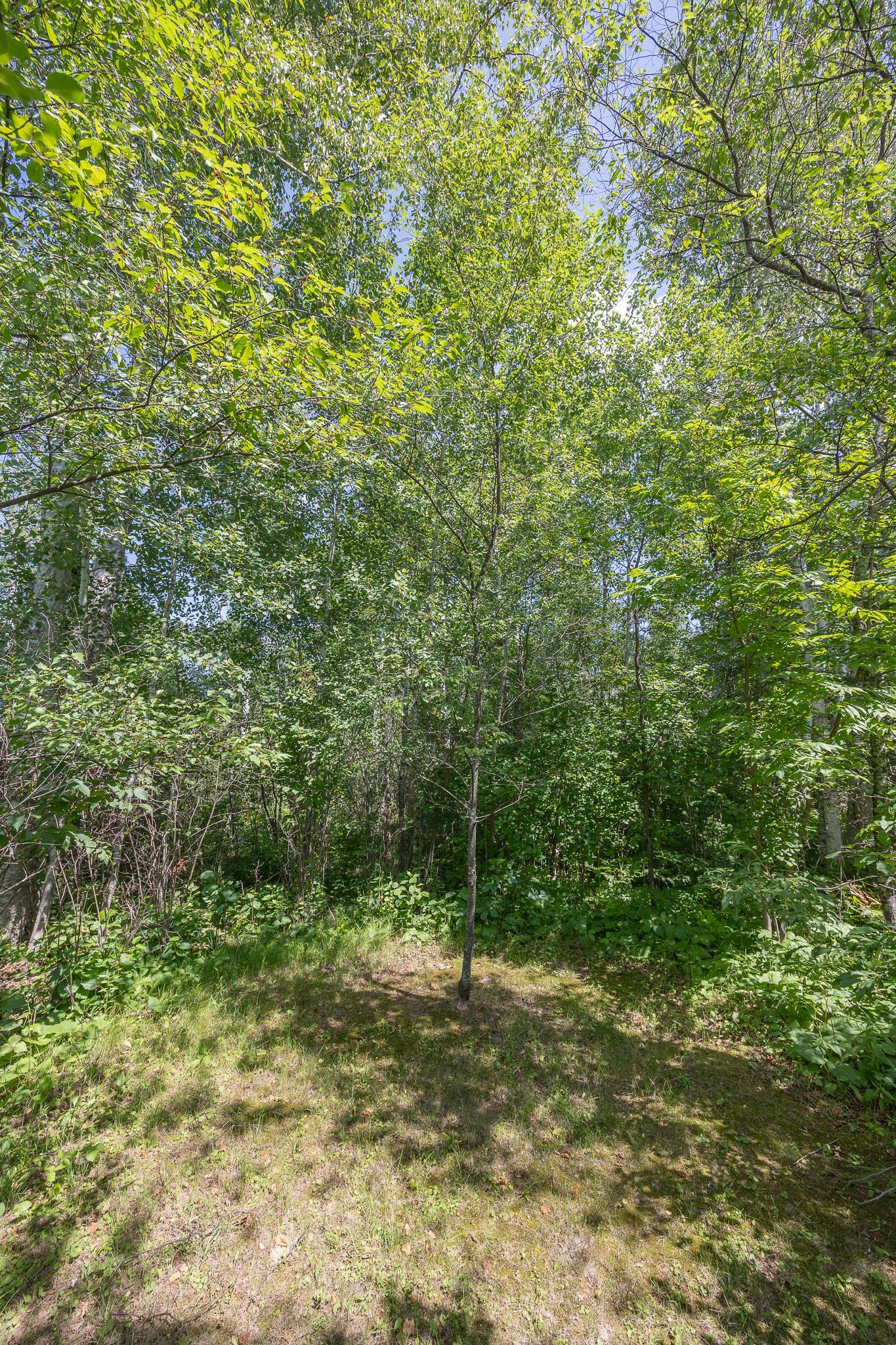 1958 Himark Lane NE, Longville MN 56655 - Photo 37 of 37