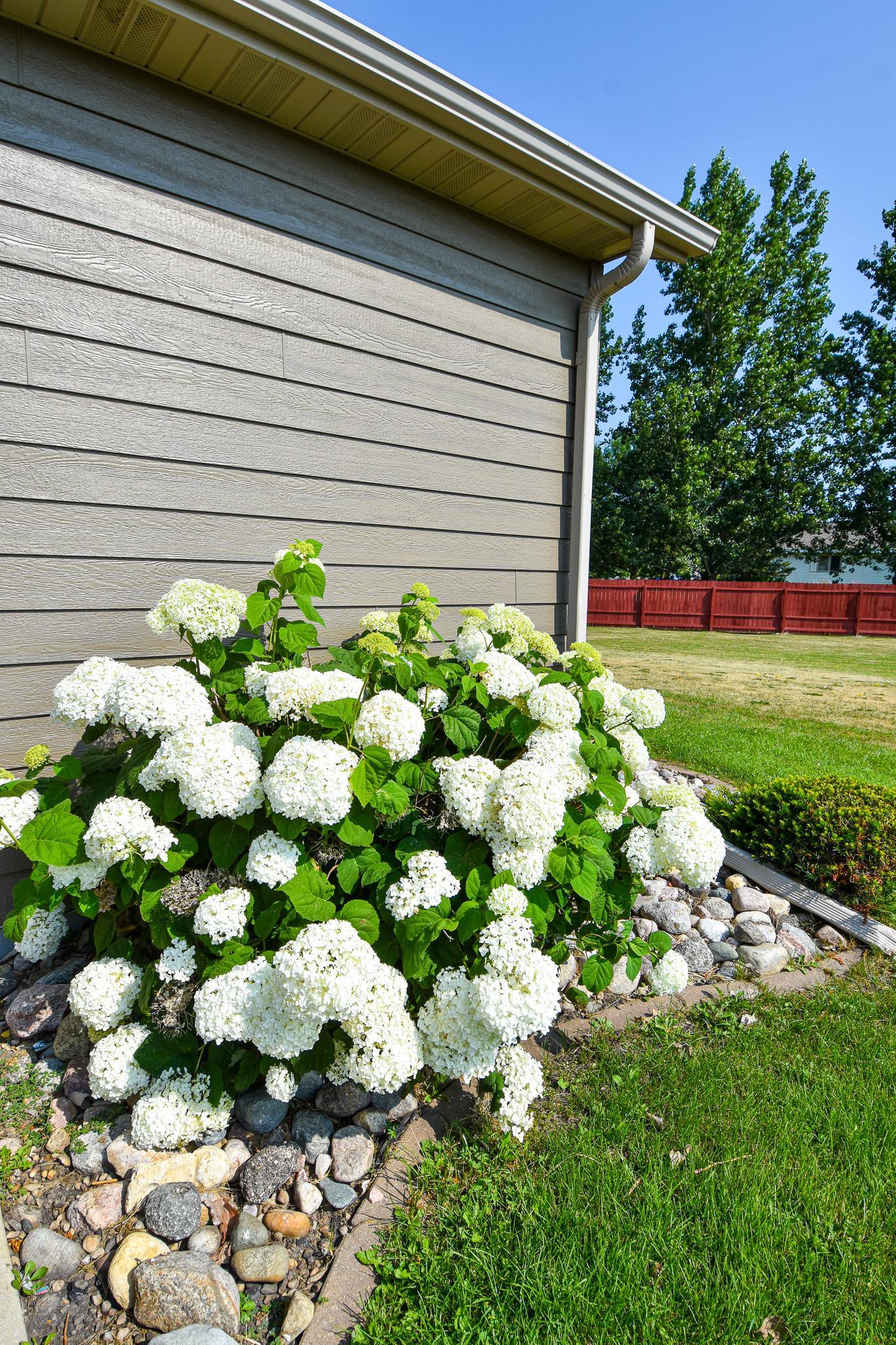 2004 single family home for sale at 14594 138th Avenue NE in Thief River Falls, MN — 4 bed, 2 bath (photo 69 of 76)