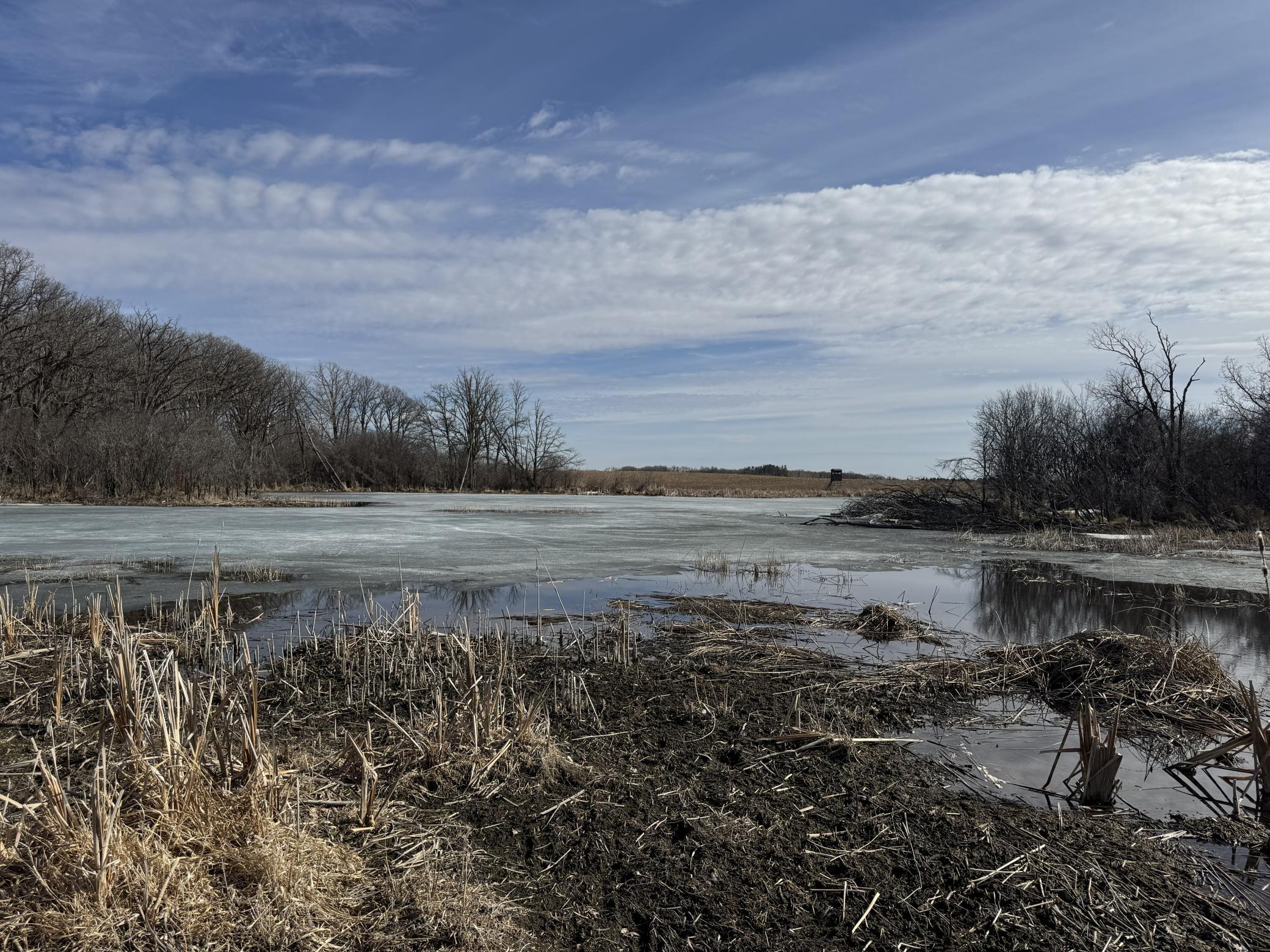 land for sale at TBD County Rd. 42 in Parkers Prairie, MN (photo 15 of 18)