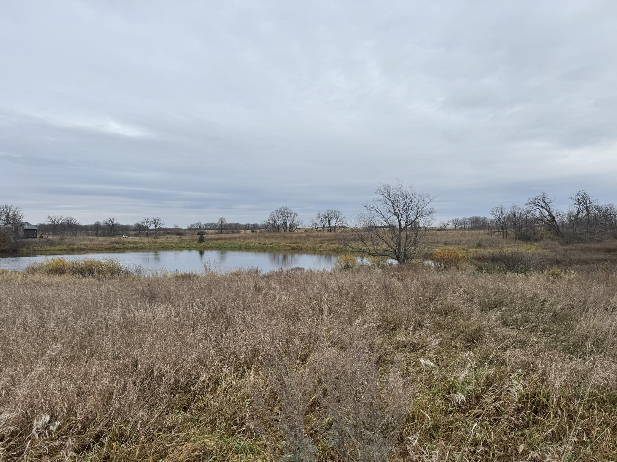 land for sale at TBD County Rd. 42 in Parkers Prairie, MN (photo 16 of 18)