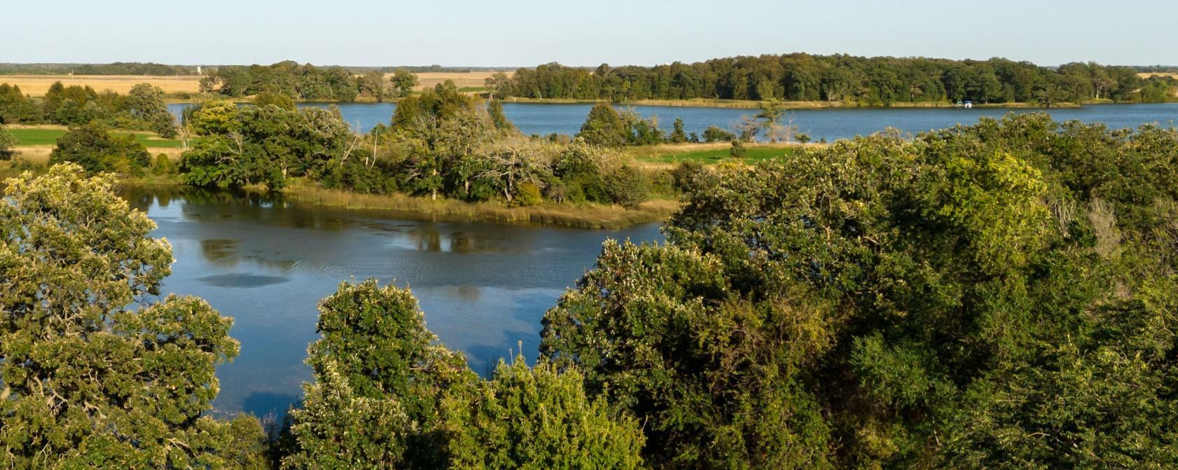 land for sale at TBD County Rd. 42 in Parkers Prairie, MN (photo 7 of 18)