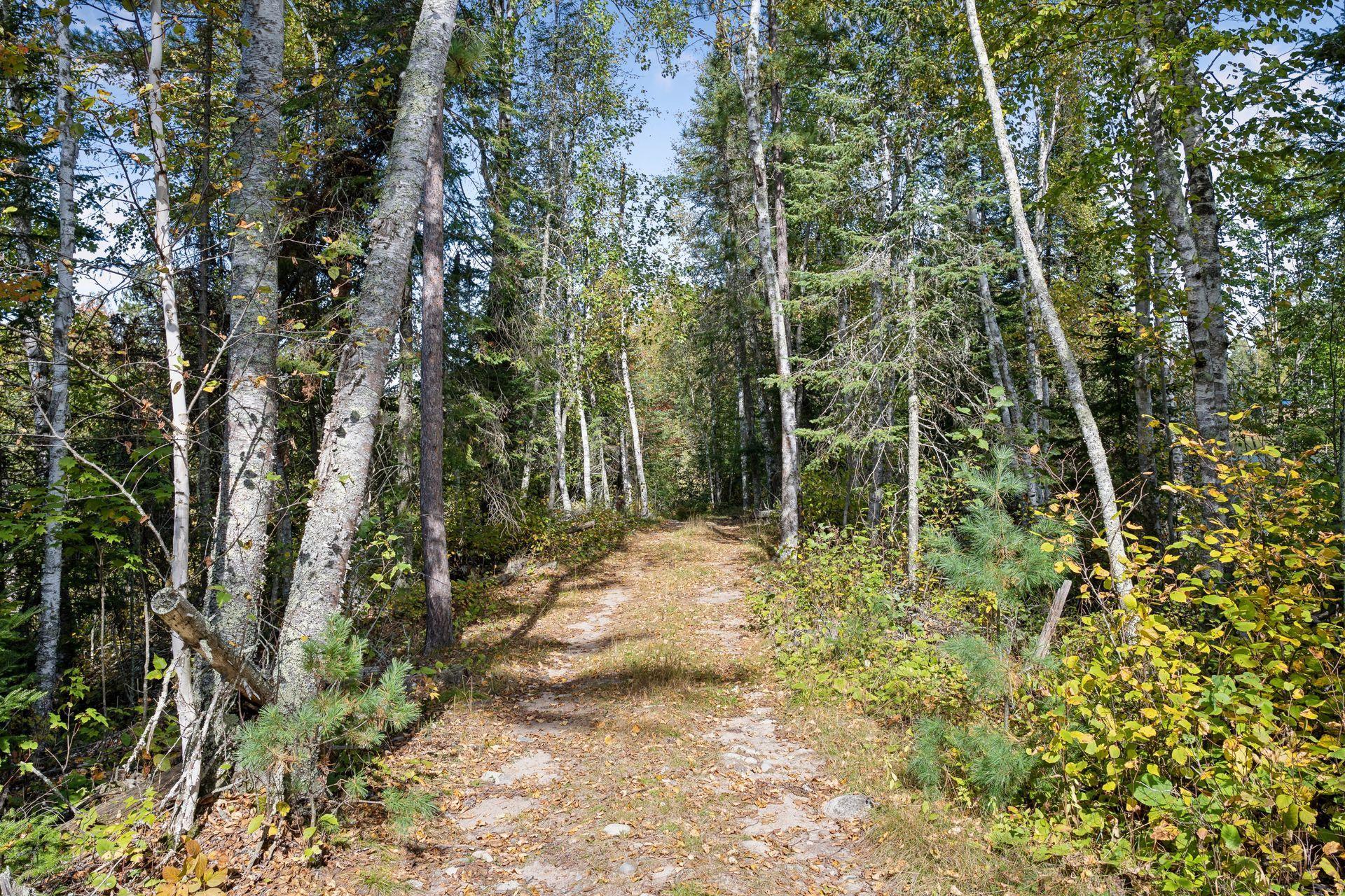 land for sale at 46xxx Smith Lake Road in Marcell, MN (photo 2 of 15)