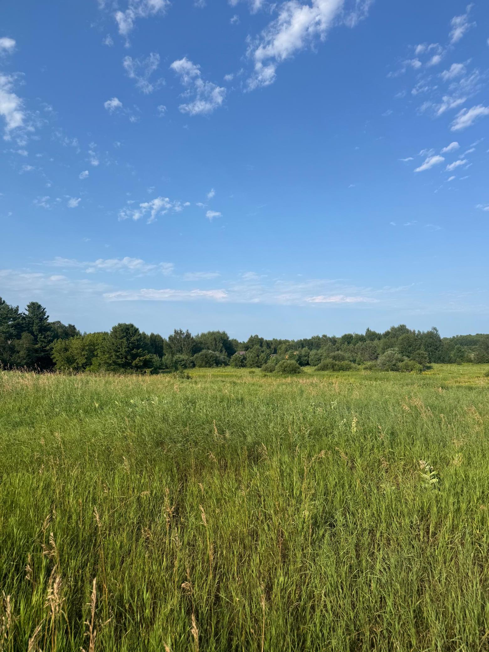 land for sale at TBD 256th Lane in Aitkin, MN (photo 2 of 13)