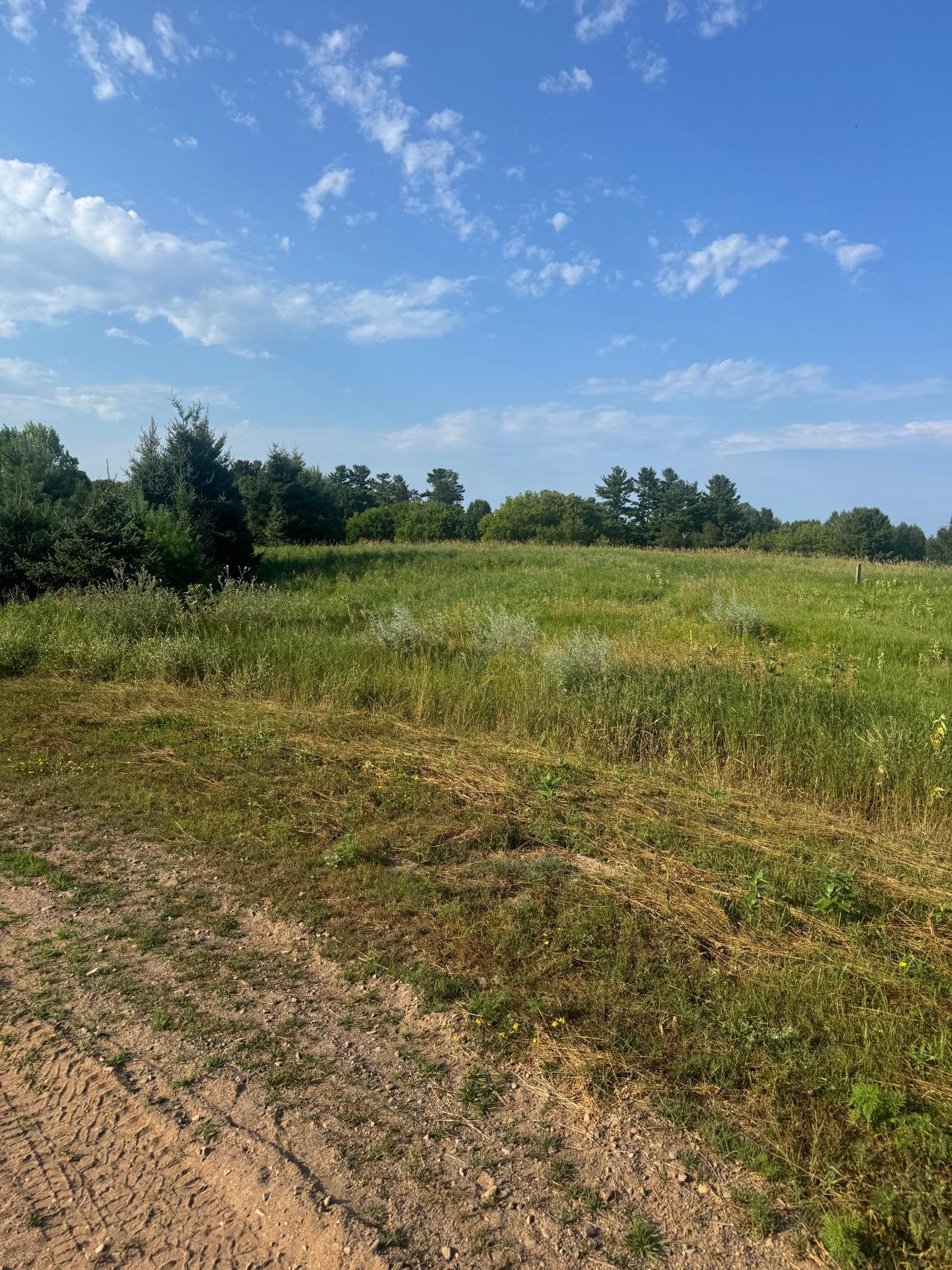land for sale at TBD 256th Lane in Aitkin, MN (photo 3 of 13)
