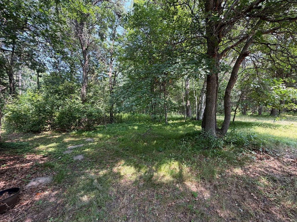 21920 County 2, Nevis MN 56467 - Photo 26 of 30