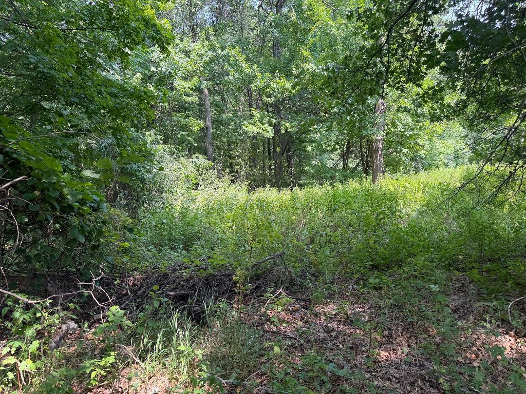 21920 County 2, Nevis MN 56467 - Photo 27 of 30
