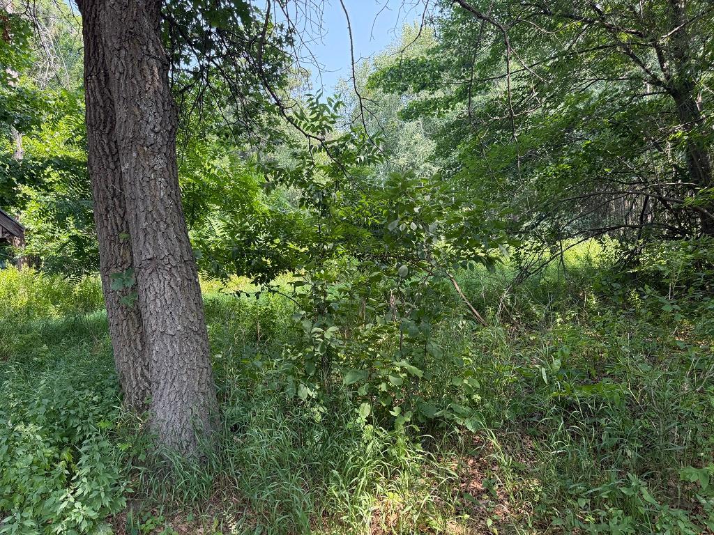 21920 County 2, Nevis MN 56467 - Photo 28 of 30