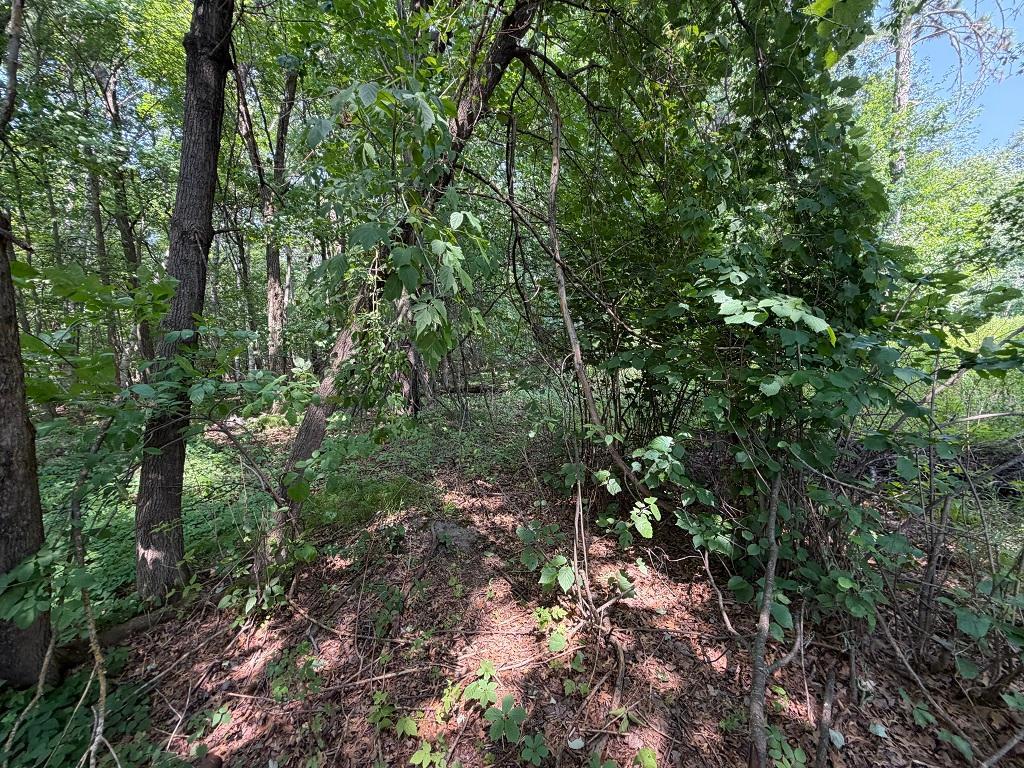 21920 County 2, Nevis MN 56467 - Photo 29 of 30