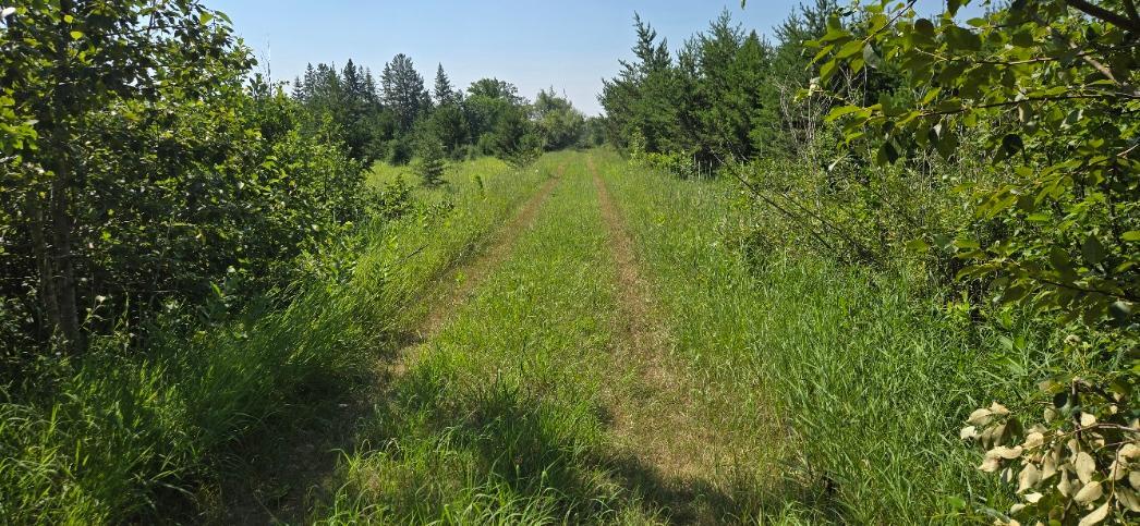 land for sale at TBD County Road 7 in Verndale, MN (photo 2 of 17)