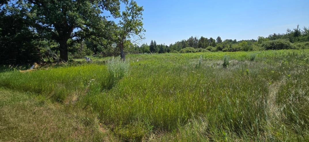 land for sale at TBD County Road 7 in Verndale, MN (photo 12 of 17)