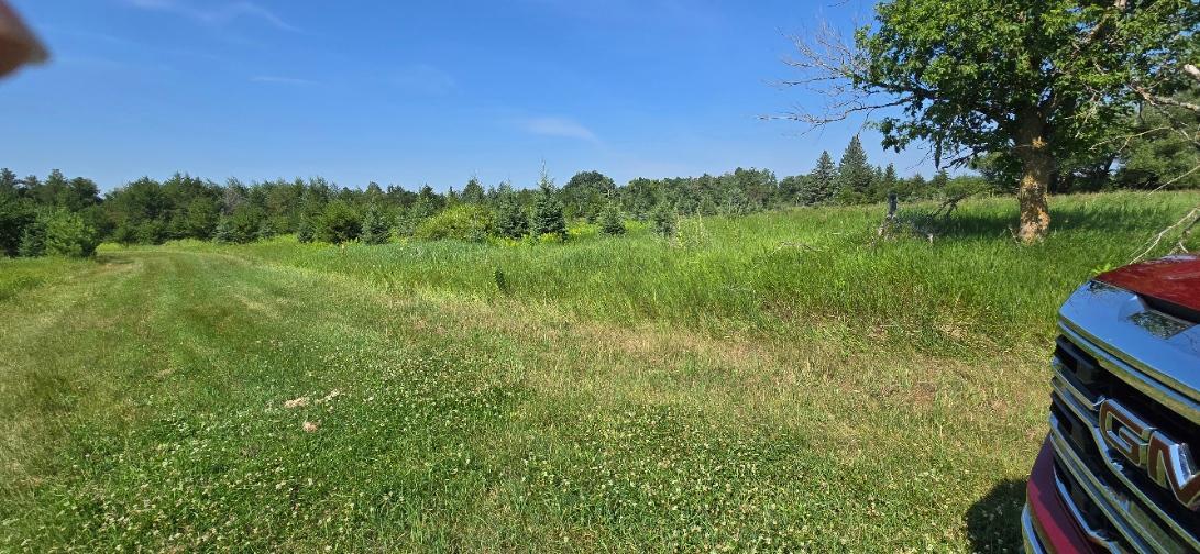 land for sale at TBD County Road 7 in Verndale, MN (photo 14 of 17)