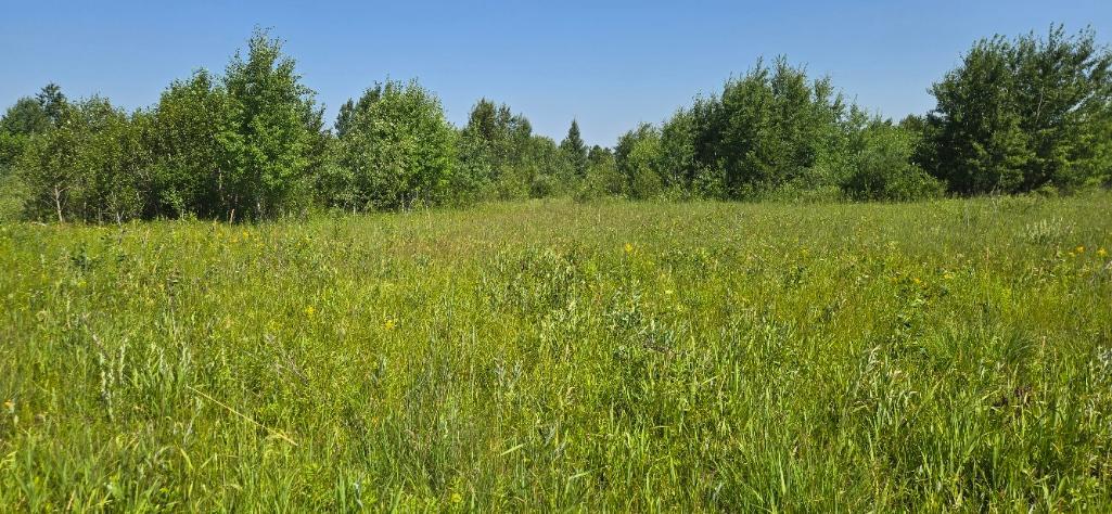 land for sale at TBD County Road 7 in Verndale, MN (photo 17 of 17)