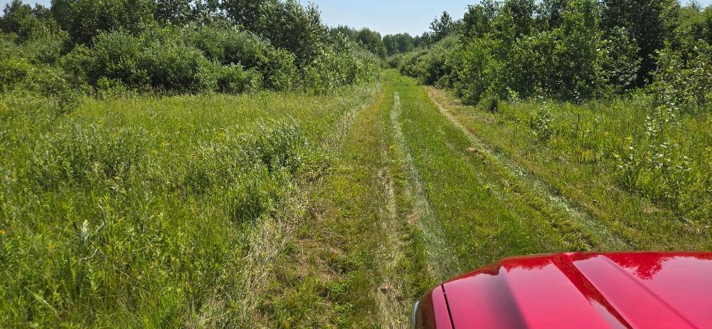 land for sale at TBD County Road 7 in Verndale, MN (photo 5 of 17)