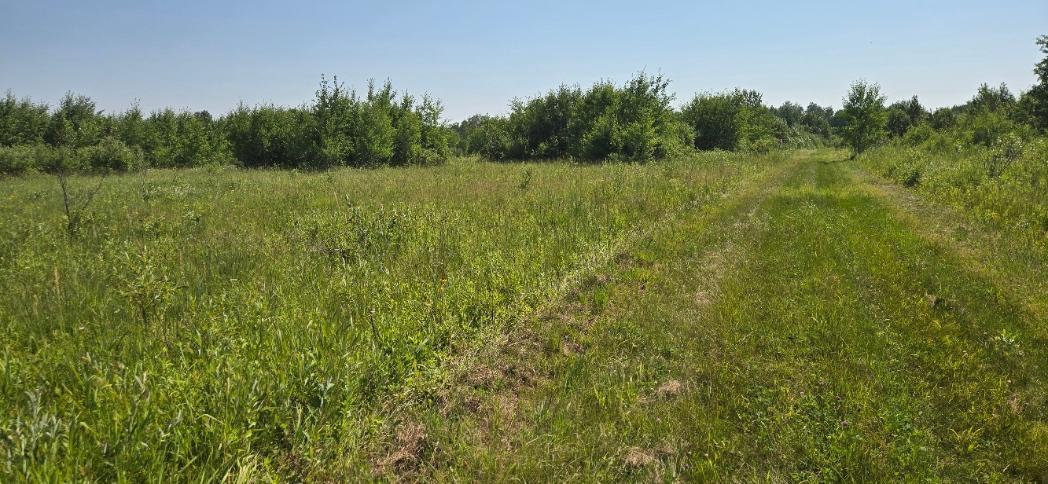 land for sale at TBD County Road 7 in Verndale, MN (photo 6 of 17)