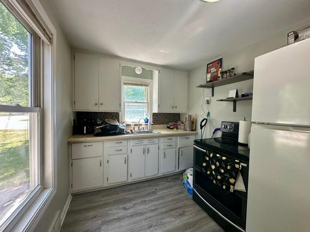 521 5th Avenue E, Alexandria MN 56308 - Photo 3 of 17