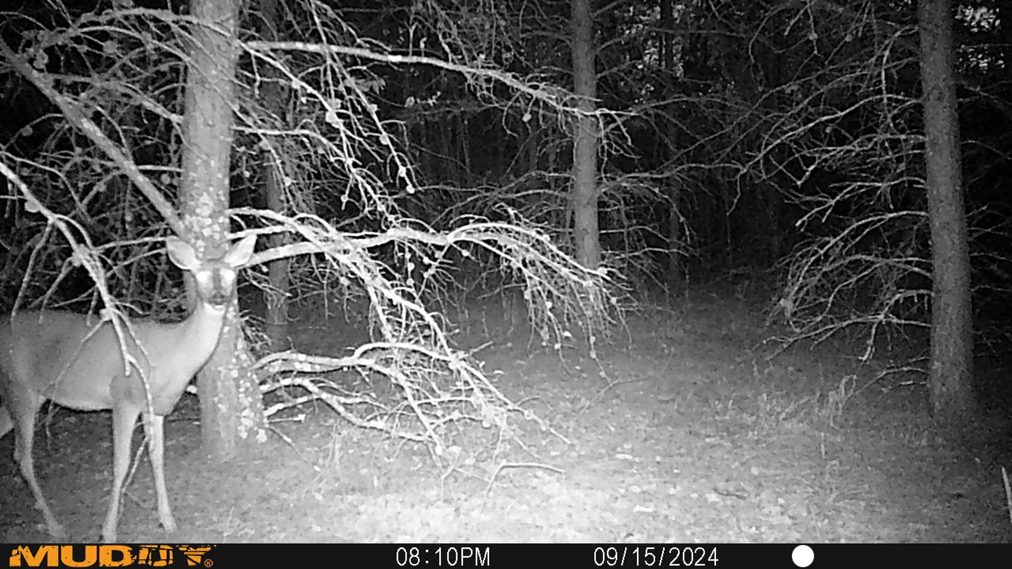 4130 4th Street NW, Backus MN 56435 - Photo 35 of 37