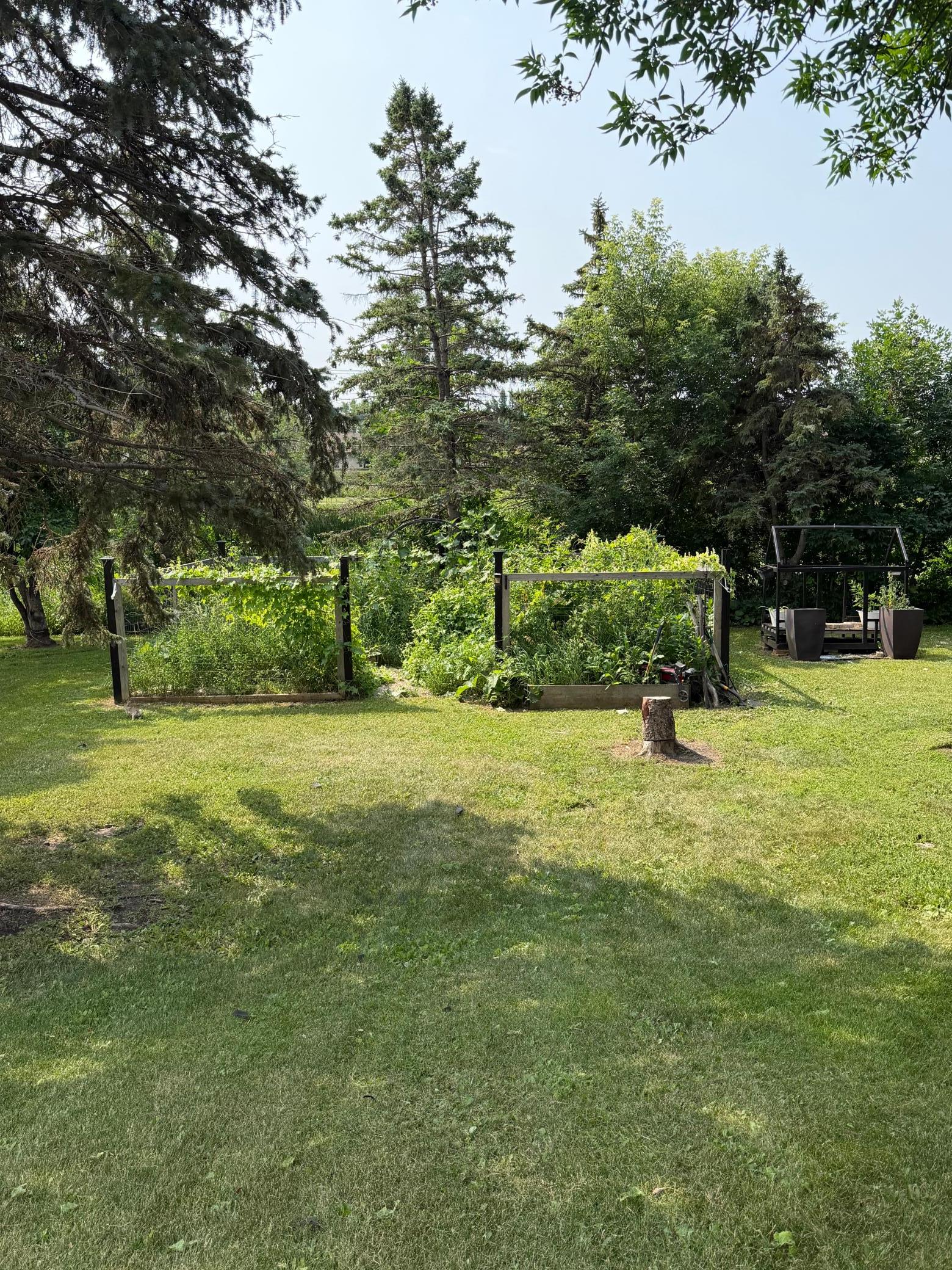 1950 single family home for sale at 805 Elm Avenue S in Hallock, MN — 3 bed, 2 bath (photo 28 of 30)