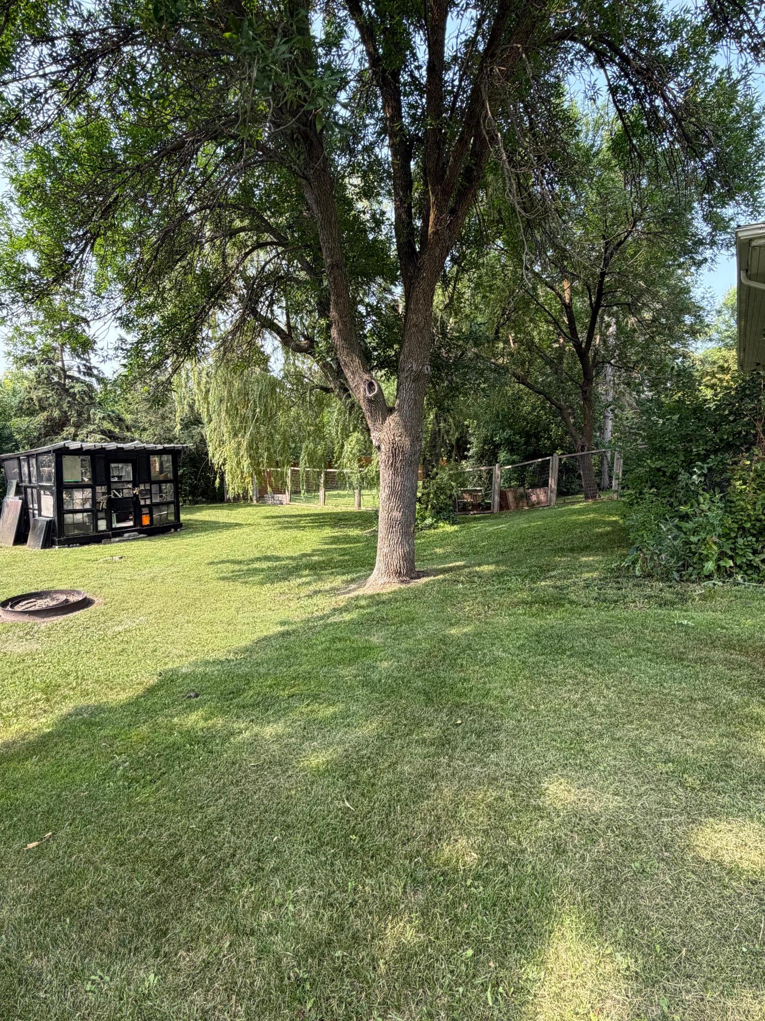 1950 single family home for sale at 805 Elm Avenue S in Hallock, MN — 3 bed, 2 bath (photo 30 of 30)