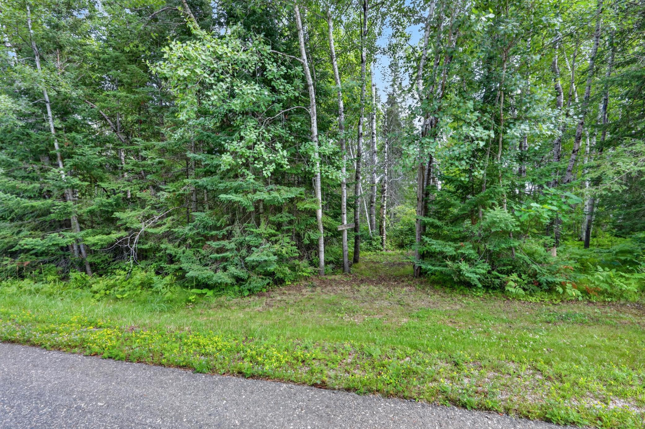 28750 Prairie Lake Road, Grand Rapids MN 55744 - Photo 42 of 59