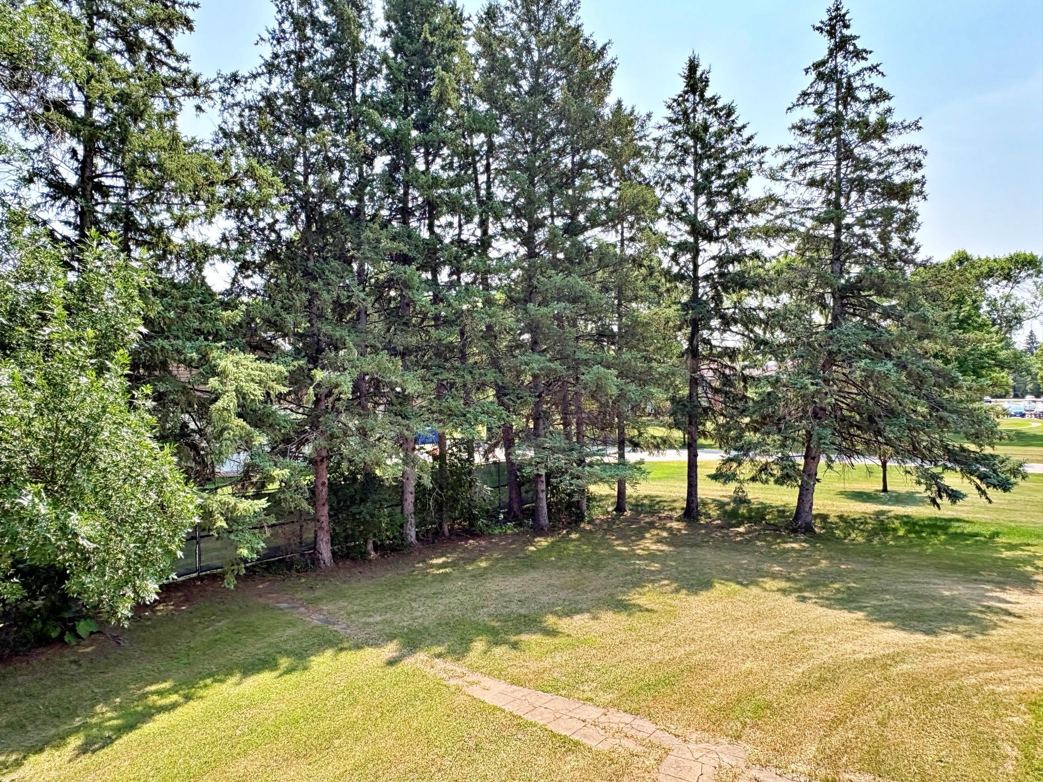 400 Riverside Avenue, Park Rapids MN 56470 - Photo 5 of 26