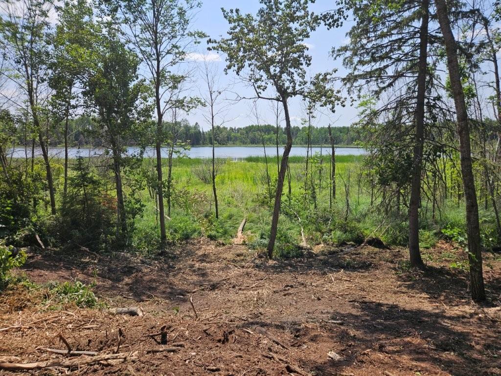 land for sale at TBD 330th Street in Shevlin, MN (photo 5 of 14)