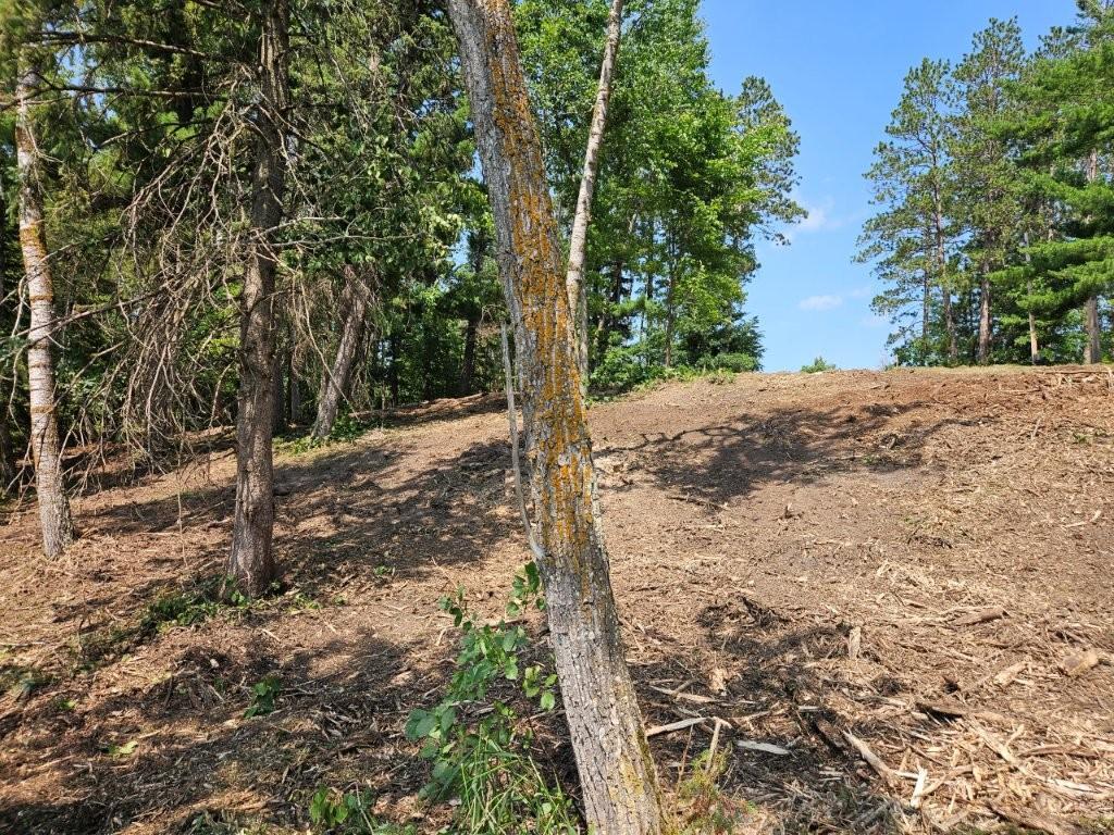 land for sale at TBD 330th Street in Shevlin, MN (photo 7 of 14)