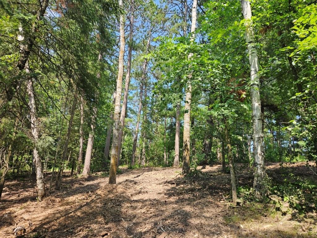 land for sale at TBD 330th Street in Shevlin, MN (photo 8 of 14)