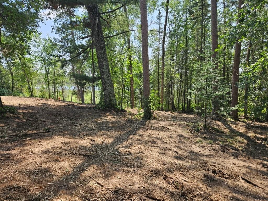 land for sale at TBD 330th Street in Shevlin, MN (photo 9 of 14)