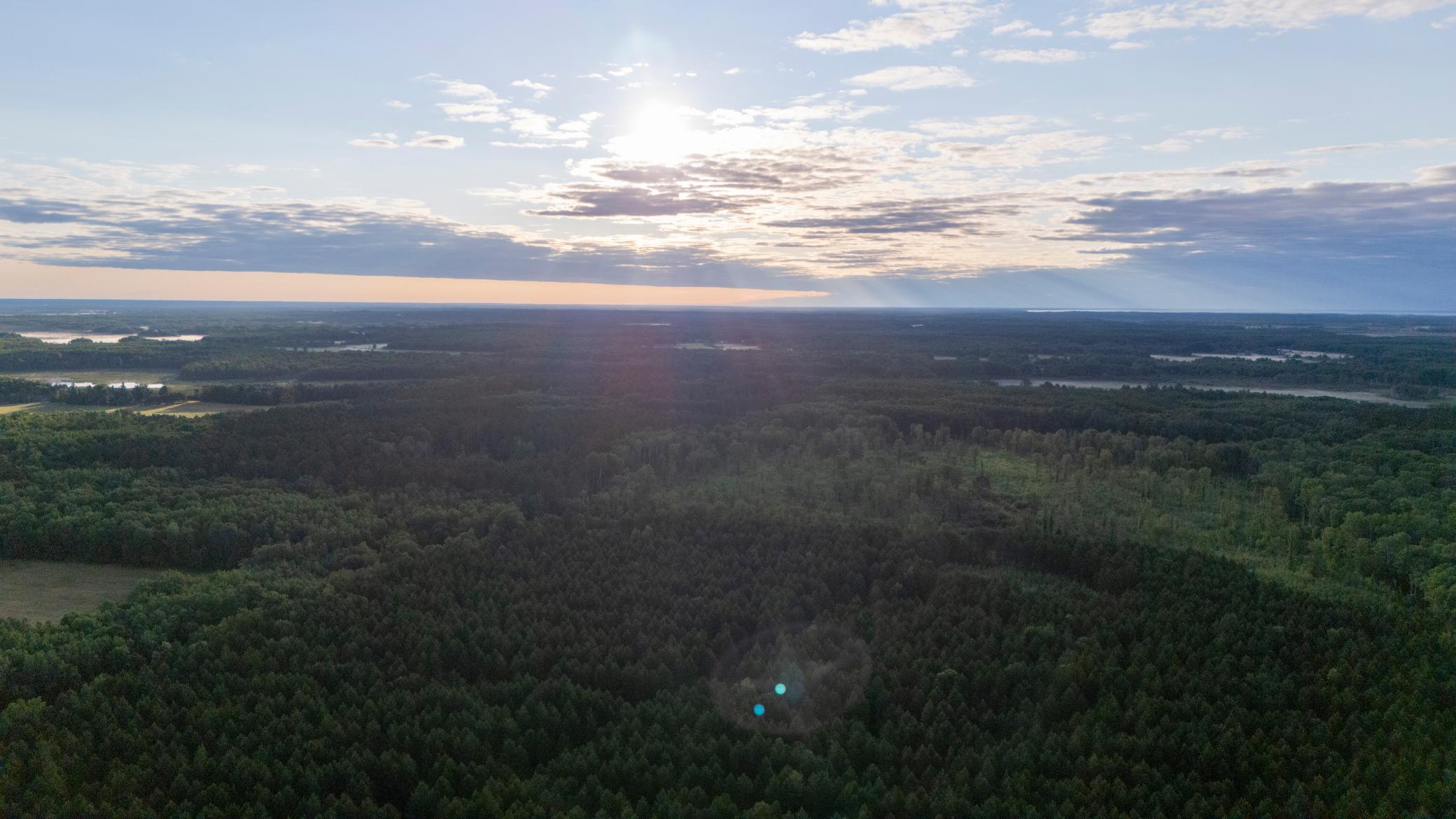 land for sale at NESW Forest Road 3845 NE in Pennington, MN (photo 8 of 16)