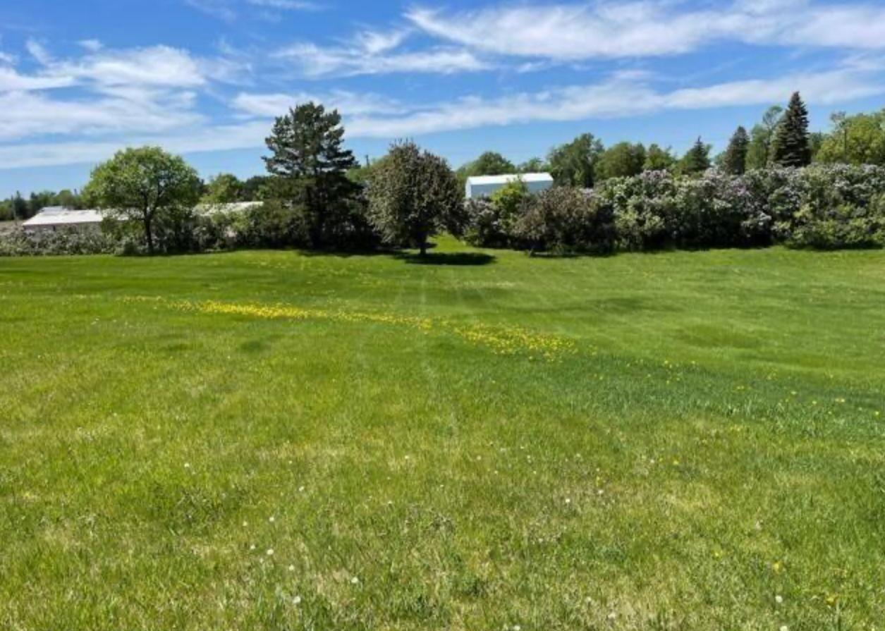 land for sale at 20661 Co Hwy 21 in Detroit Lakes, MN (photo 6 of 13)