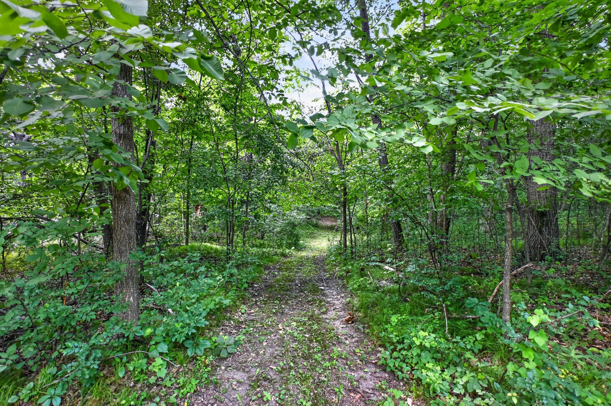 9661 County Road 11 NE, Alexandria MN 56308 - Photo 14 of 23